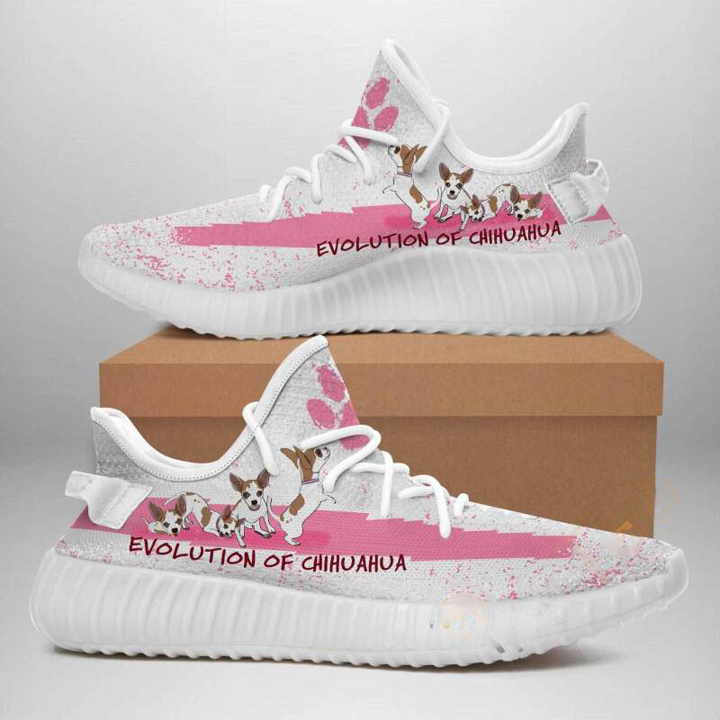 Chihuahua Yeezy Boost
