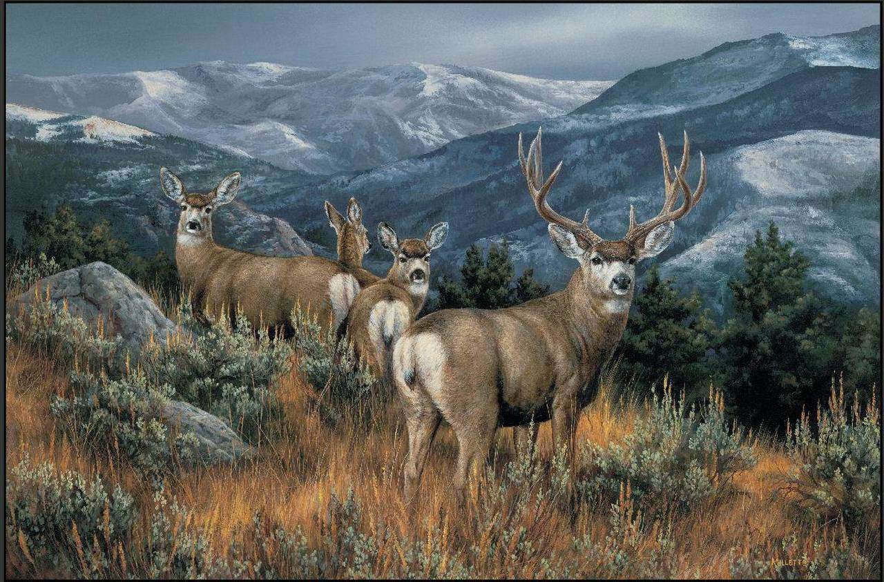 Deer Limited Edition Rug