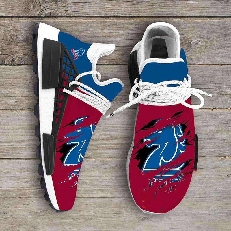 Fairleigh Dickinson Knights Ncaa NMD Human Shoes