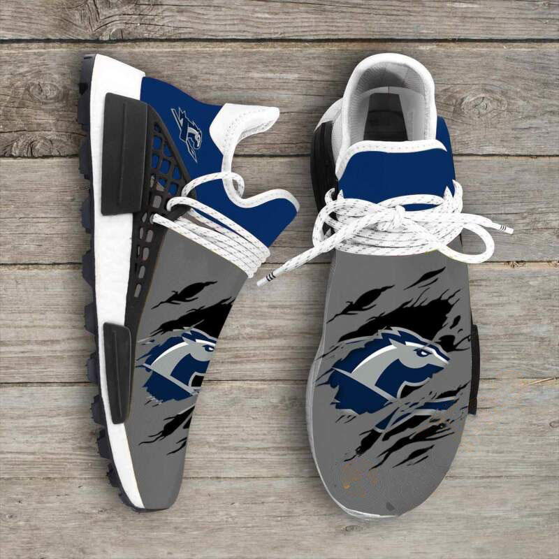 Longwood Lancers Ncaa NMD Human Shoes