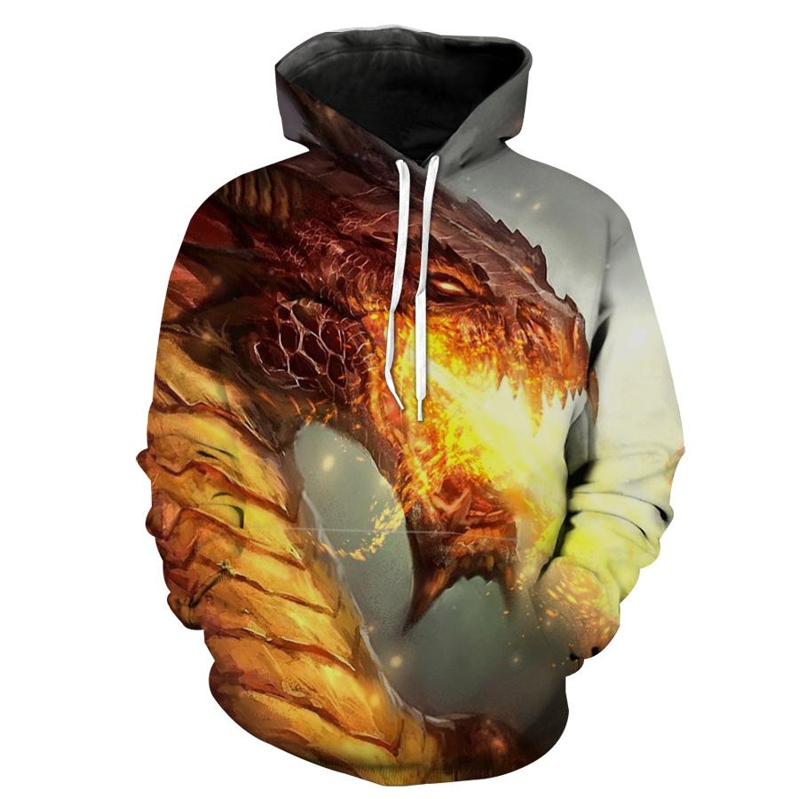 Red Dragon Fire Dragon Fantasy Hoodie 3D