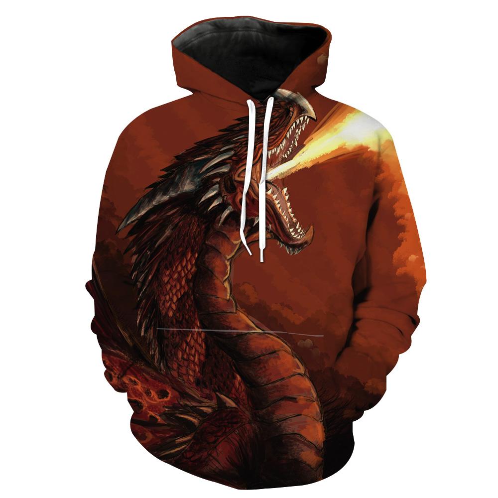 Red Fire Dragon Fantasy Hoodie 3D